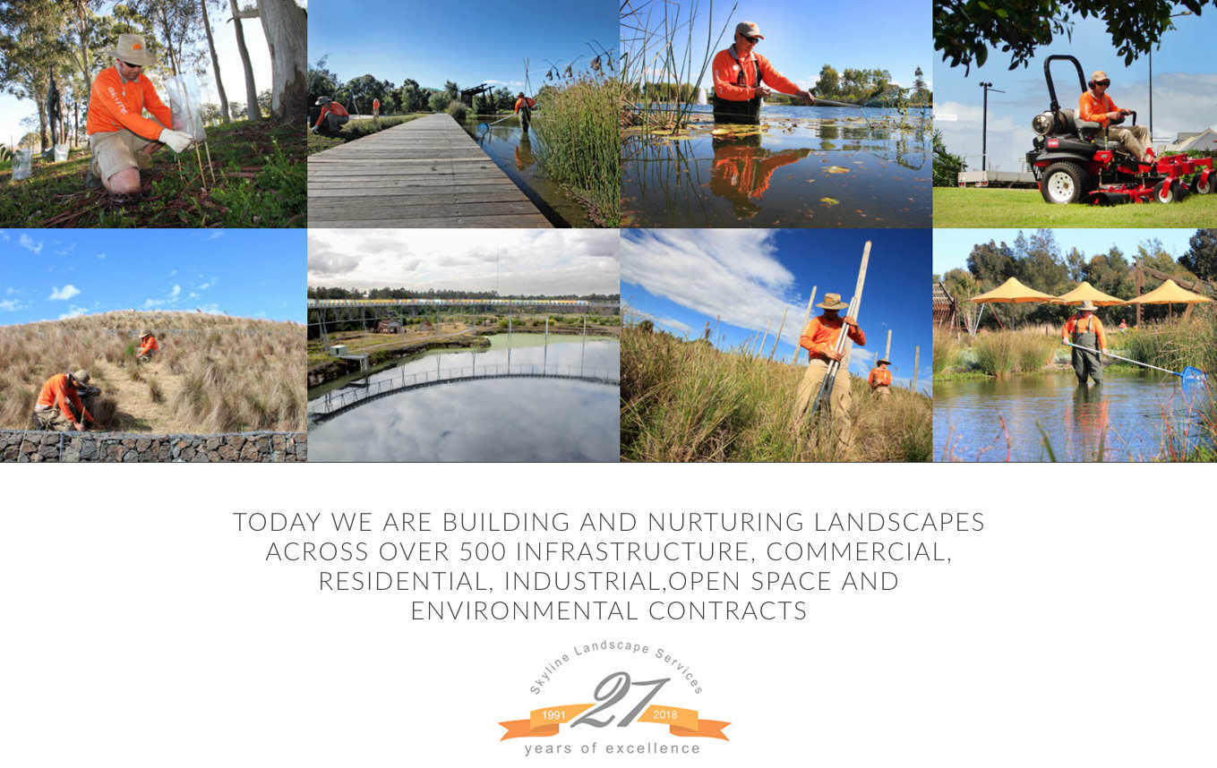 Building and Nurturing Landscape