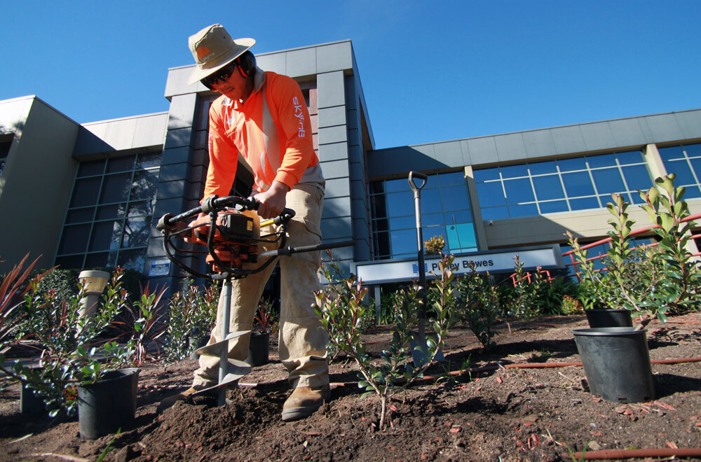 Tree care Aboriculture