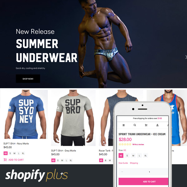 Shopify Website Developer Gold Coast