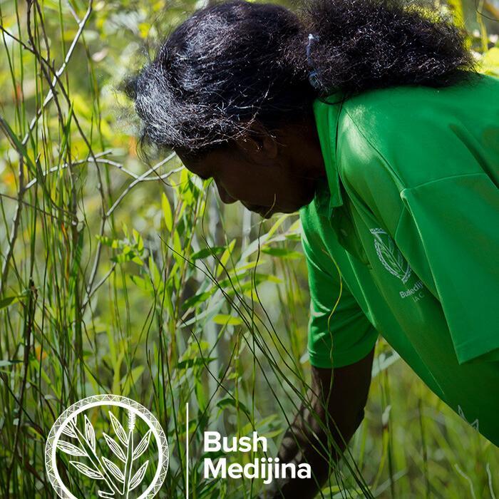 Bush Medijina Shopify eCommerce Solution