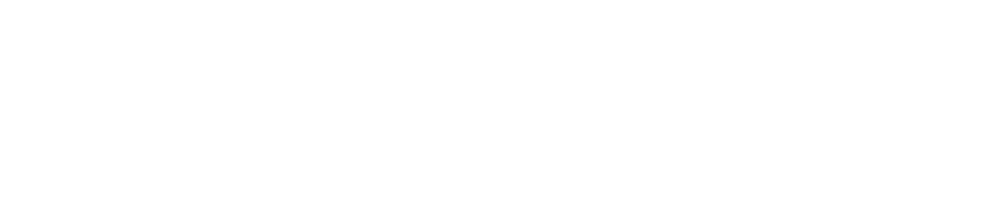 Alinga - Shopify Expert