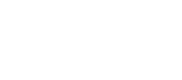 Alinga - Shopify Expert